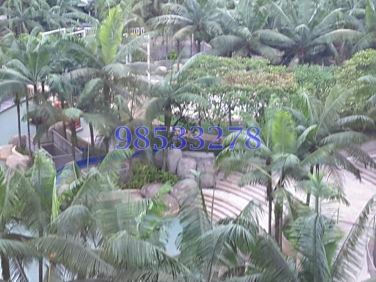 Changi Rise Condominium (D18), Condominium #130466062